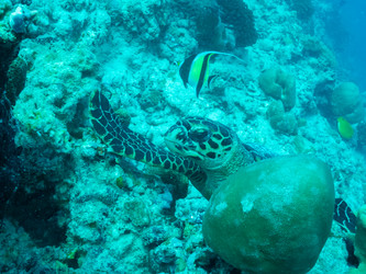 Similar image 21146065