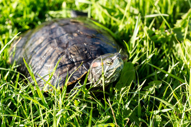 Similar image 21146076