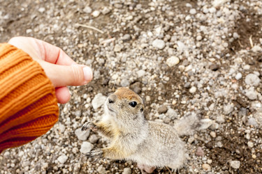 Similar image 21145931