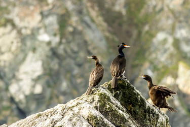 Similar image 21145932