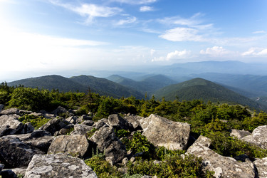 Similar image 21146087