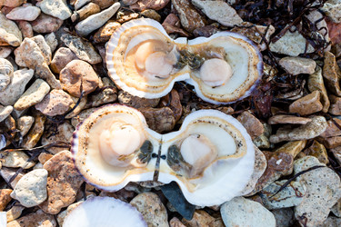 Similar image 21146090