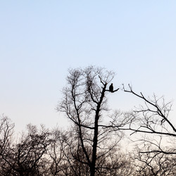 Similar image 21146092