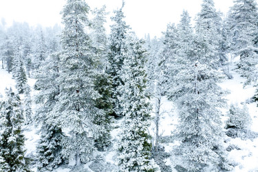 Similar image 21146095