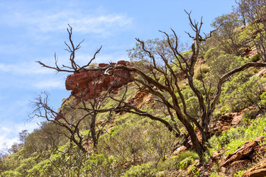 Similar image 21146099