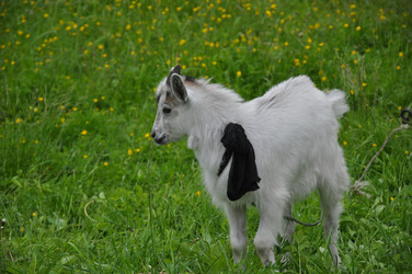 Similar image 21153203