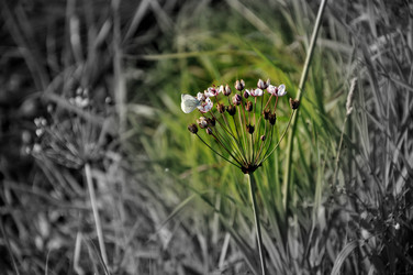 Similar image 21153205