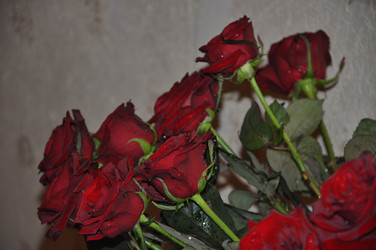 Similar image 21153207