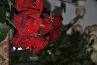 Similar image 21153220