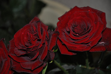 Similar image 21153222