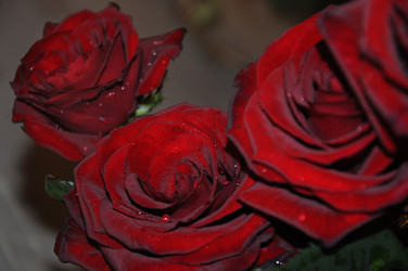 Similar image 21153821