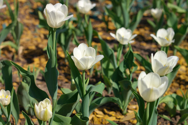 Similar image 21147084