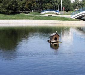 Similar image 21147088