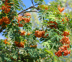 Similar image 21147094