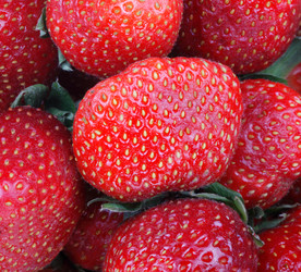 Similar image 21147103