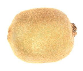 Similar image 21147108