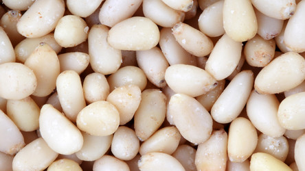 Similar image 21147121