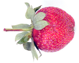 Similar image 21147122