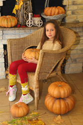 Similar image 21146184