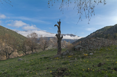 Similar image 21145944