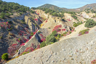 Similar image 21145947