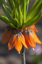 Similar image 21145950