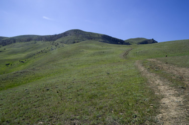 Similar image 21145951