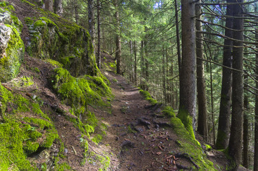 Similar image 21145956