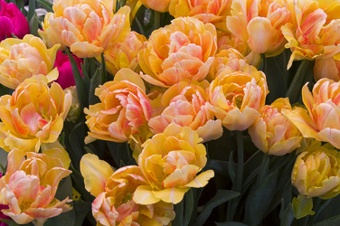 Similar image 21145961