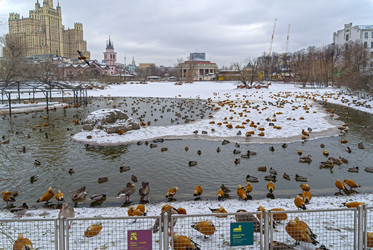 Similar image 21145965