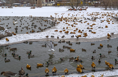 Similar image 21145967