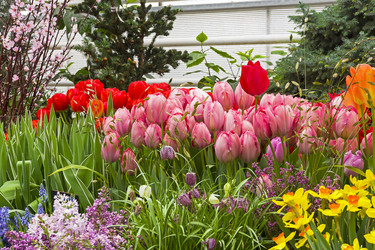 Similar image 21145971