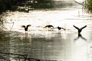 Similar image 21146707