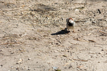 Similar image 21146713