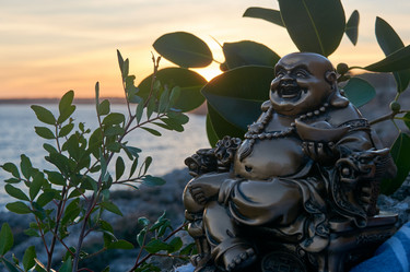 Similar image 21146725