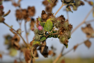 Similar image 21153826