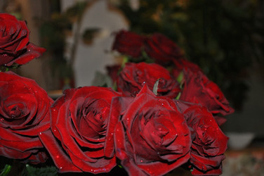 Similar image 21153830