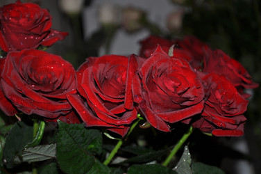 Similar image 21153832