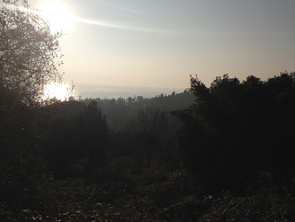 Similar image 21153833