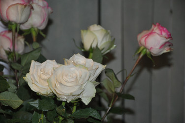 Similar image 21153834