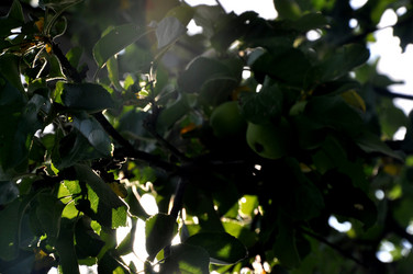 Similar image 21153837