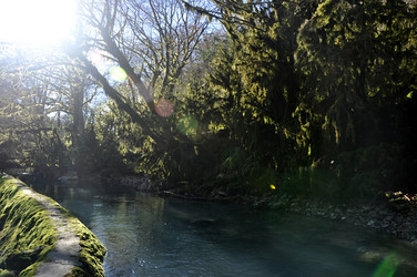 Similar image 21153842