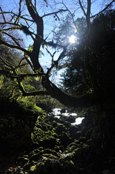 Similar image 21153848