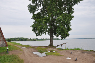 Similar image 21153852