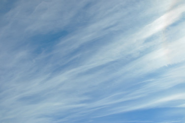 Similar image 21153853