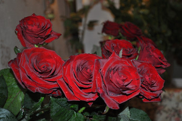 Similar image 21153857