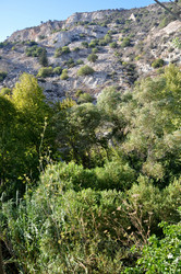 Similar image 21153867