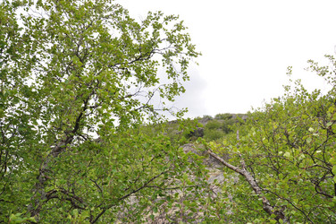 Similar image 21153871