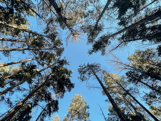 Similar image 21145606