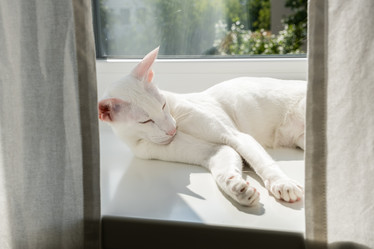 Similar image 21146104